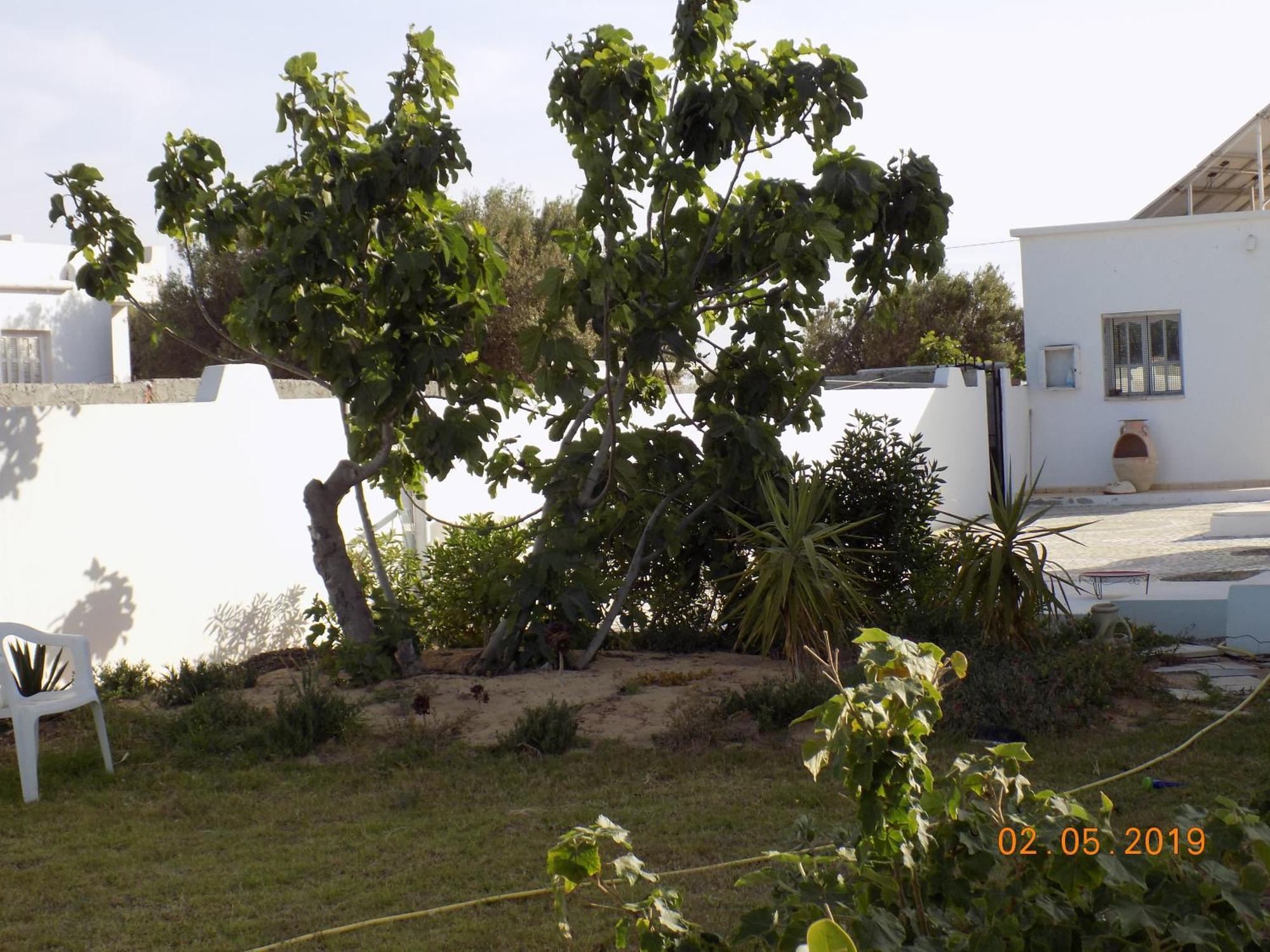 Bed and Breakfast Dar Mamina Sidi ash Shammakh Esterno foto