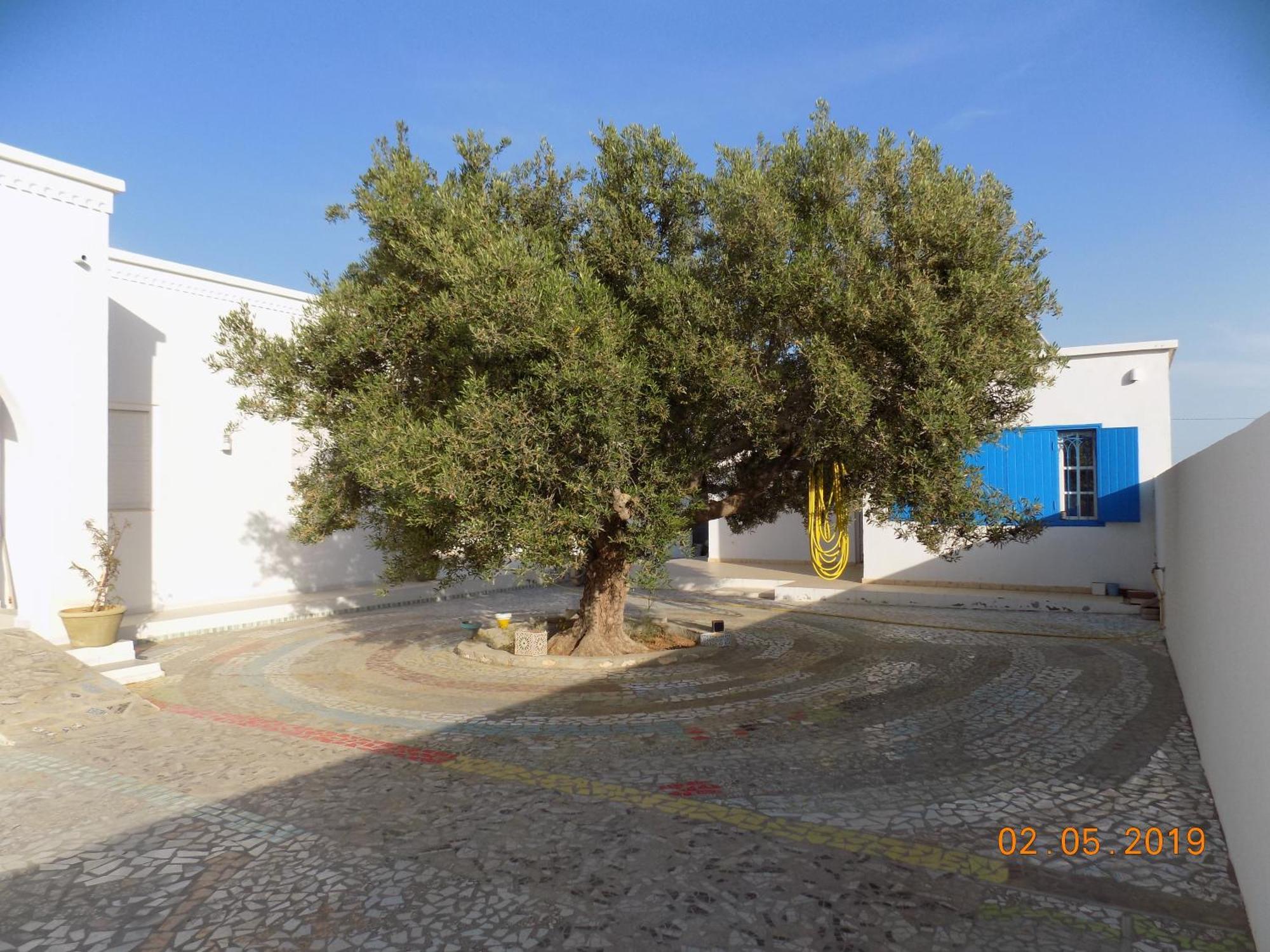 Bed and Breakfast Dar Mamina Sidi ash Shammakh Esterno foto