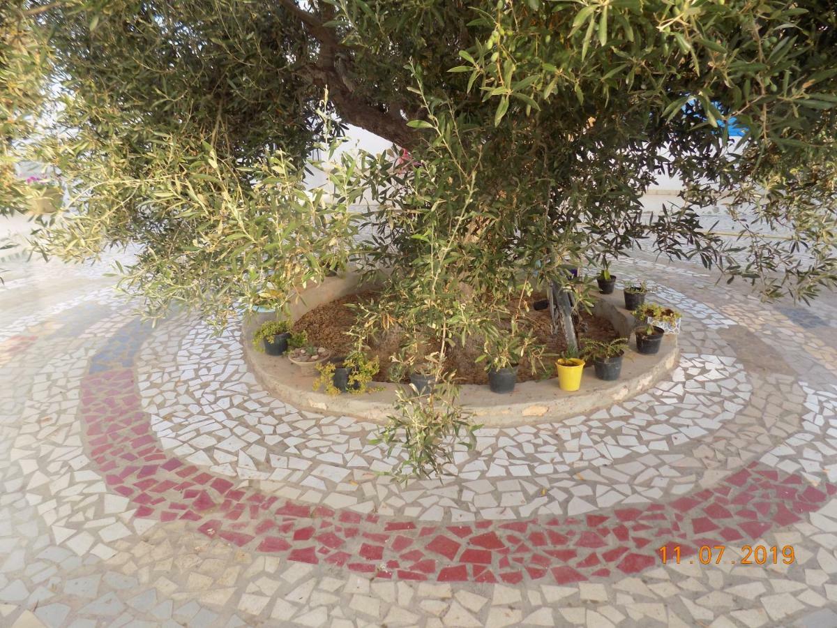 Bed and Breakfast Dar Mamina Sidi ash Shammakh Esterno foto